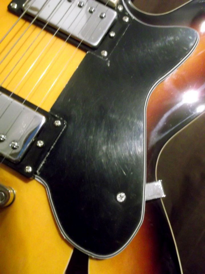 Pickguard 1