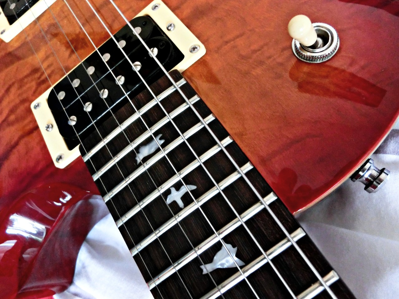 PRS-SE-Mark-Tremonti01