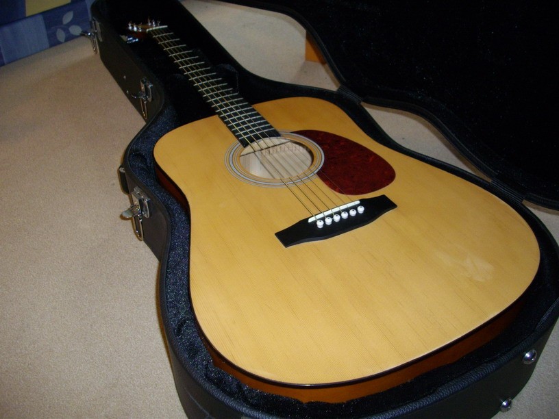 Roscoe RDG-1, die "Festival & Urlaub-Gitarre"