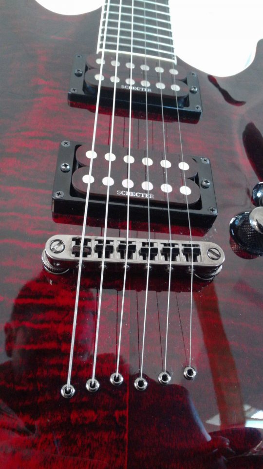 Schecter2