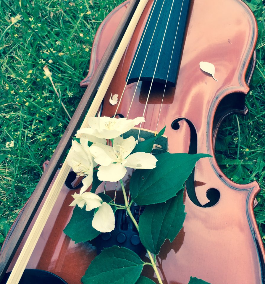 Spring