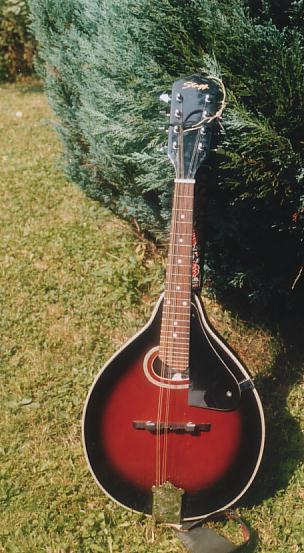 StaggMandoline (Bluegrass)