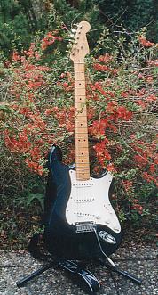 Stratocaster2137