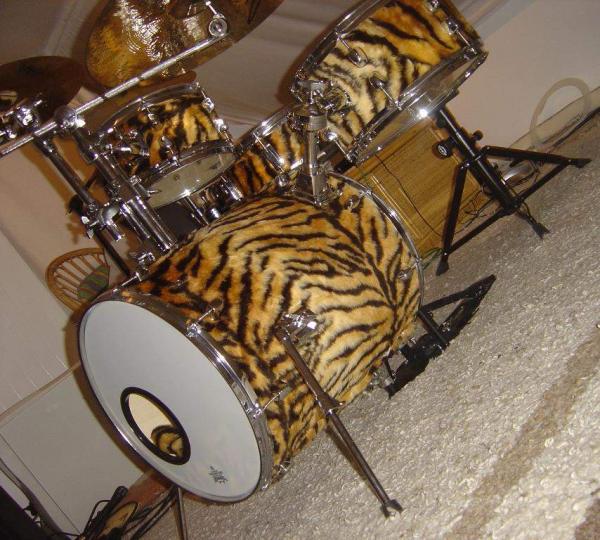 Tiger Hipgig