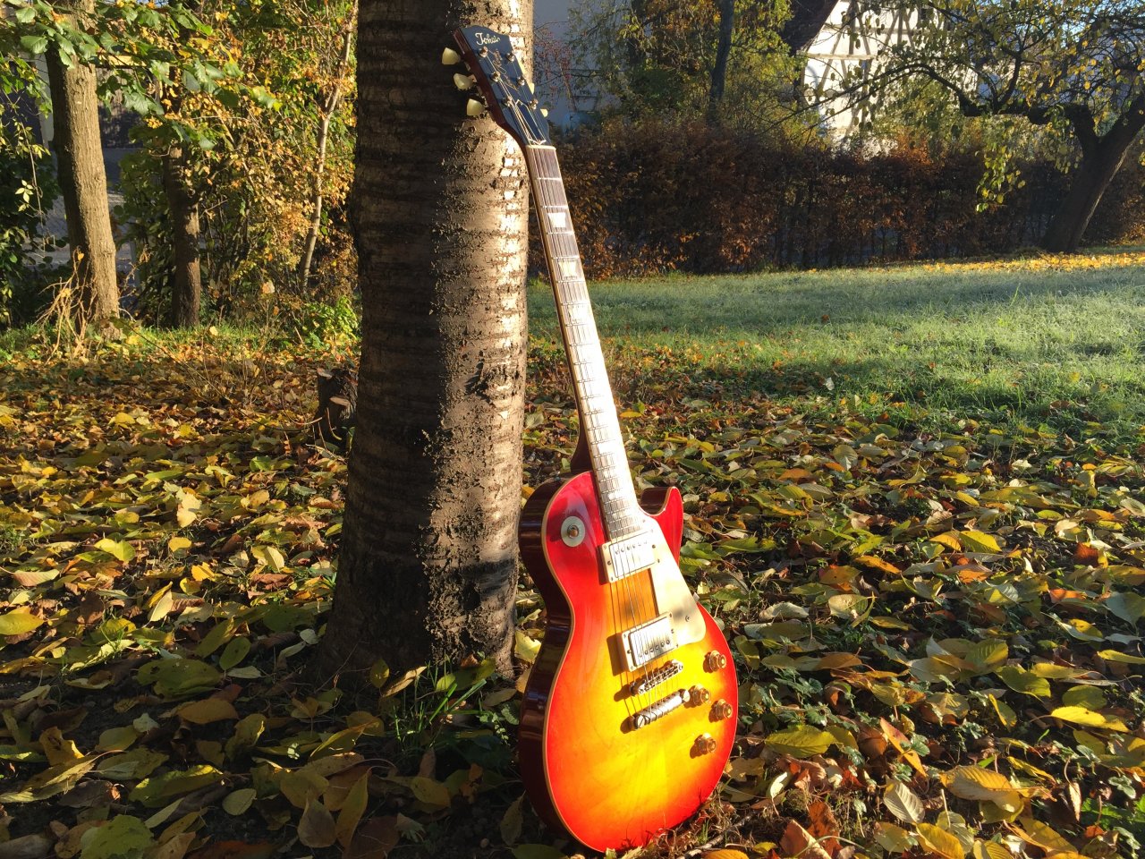 Tokai LS80 1981 A