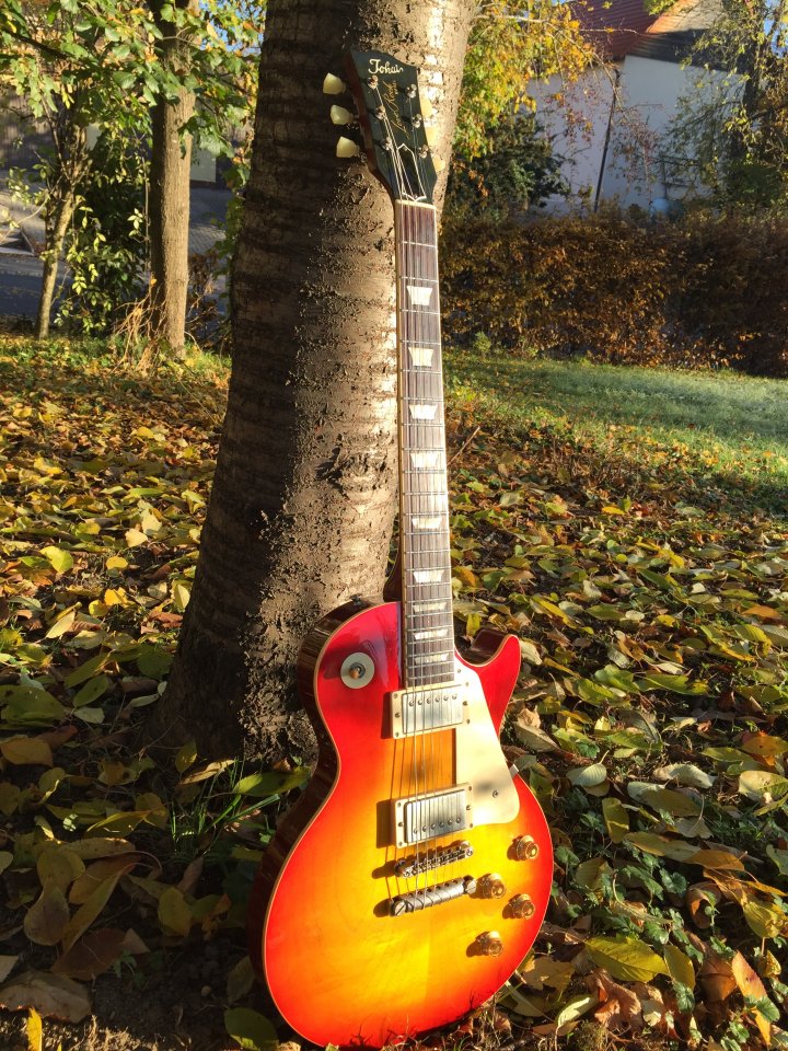 Tokai LS80 1981 B