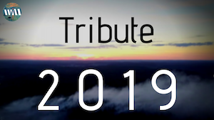 Tribute 2019 Klein