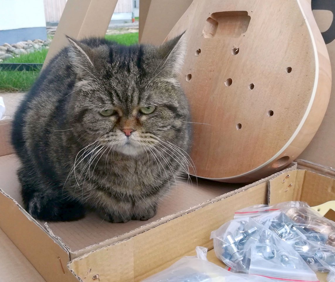 Unboxing meines Bausatzes