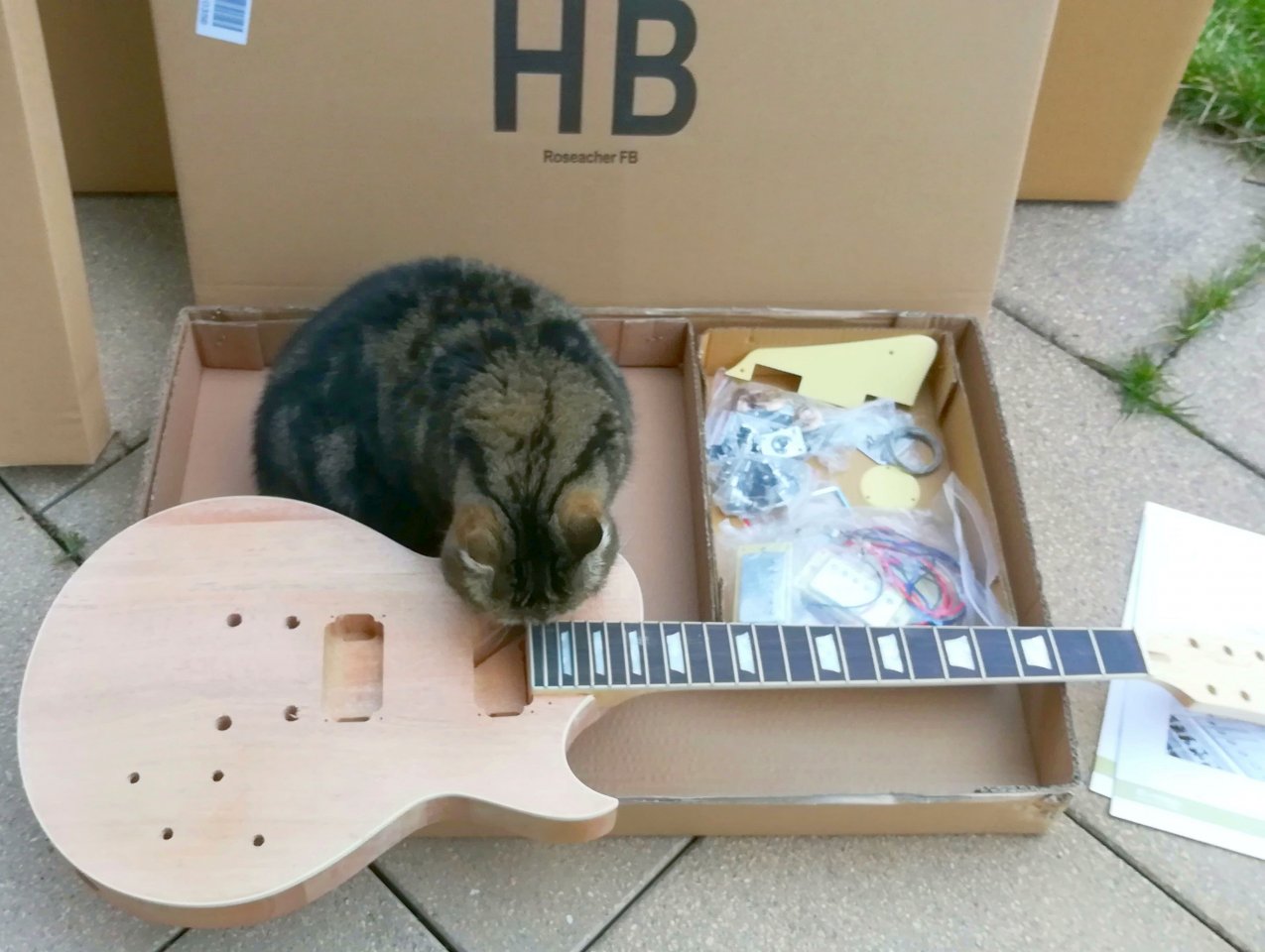 Unboxing meines Bausatzes