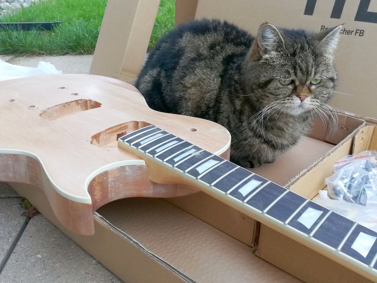 Unboxing meines Bausatzes