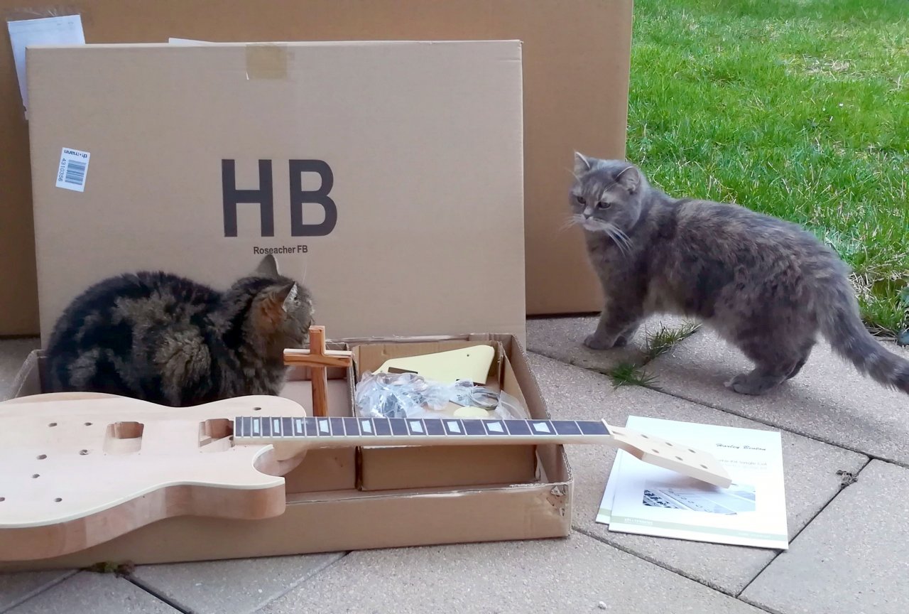 Unboxing meines Bausatzes