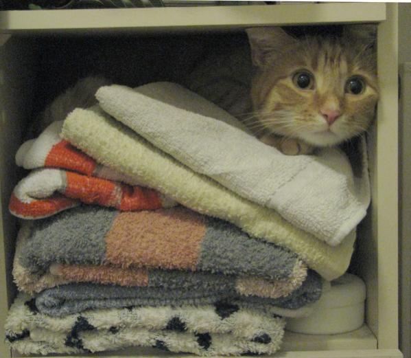 Versteckt im Wäscheschrank