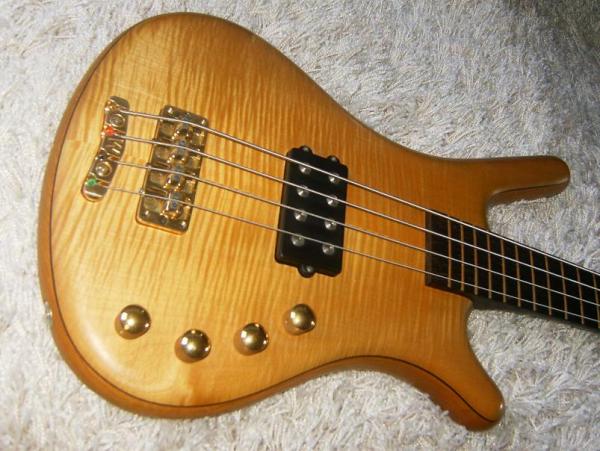 Warwick Corvette F.N.A.