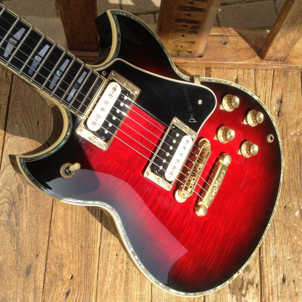 Yamaha SG3000 Custom