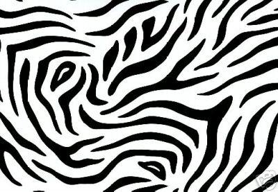 zebra
