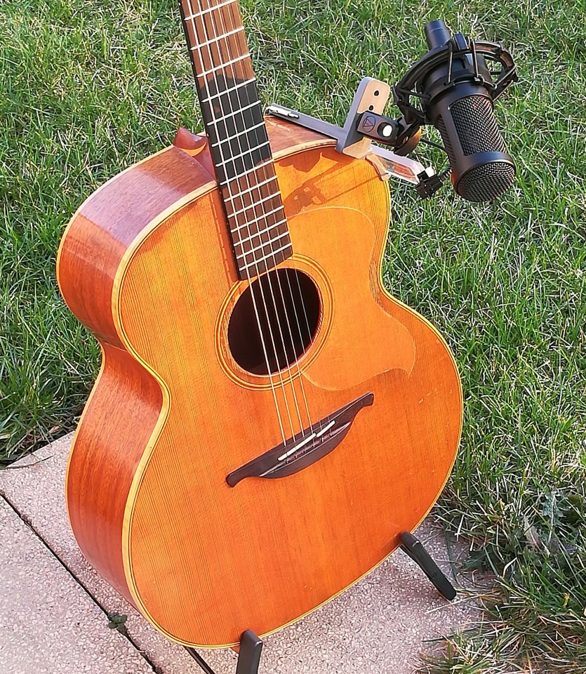 Zwei Mikrofonhalter an der Lowden S22
