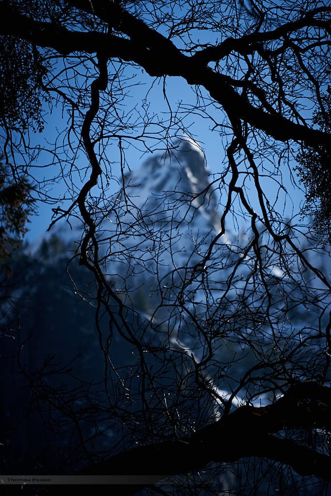 Peak-behind-branches-683x1024.jpg