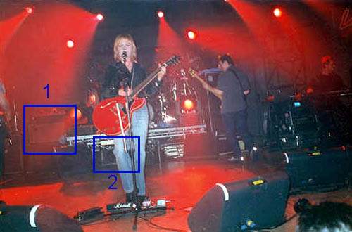 cranberries.jpg