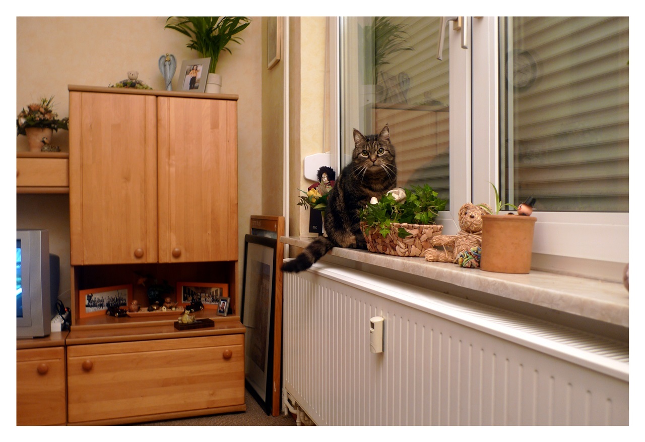 mikshimwohnzimmer38ksk.jpg