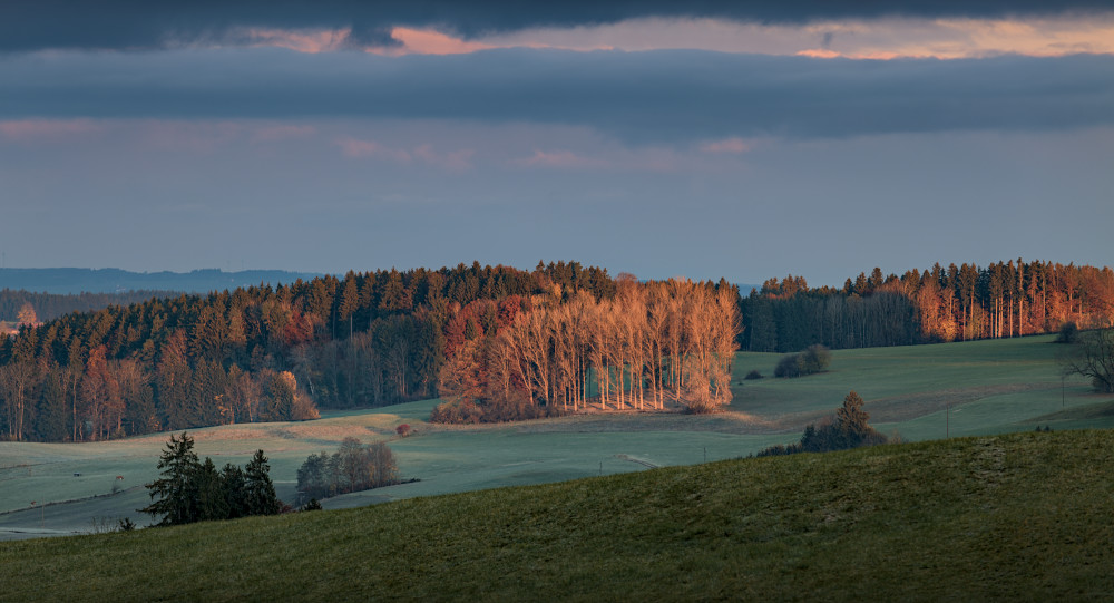 p1012917_1000x541pxrbkt8.jpg