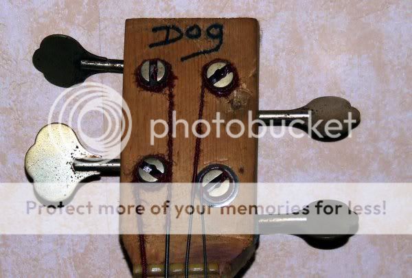 dog_bass3.jpg
