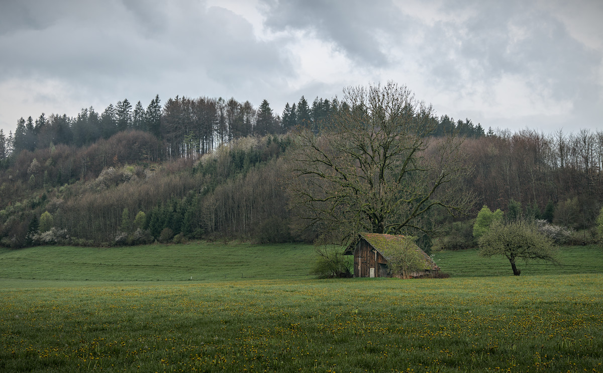 p1024412a_1200x742pxgxdov.jpg