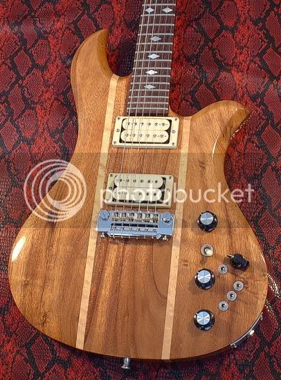 Armitage_BC-Rich-Eagle.jpg