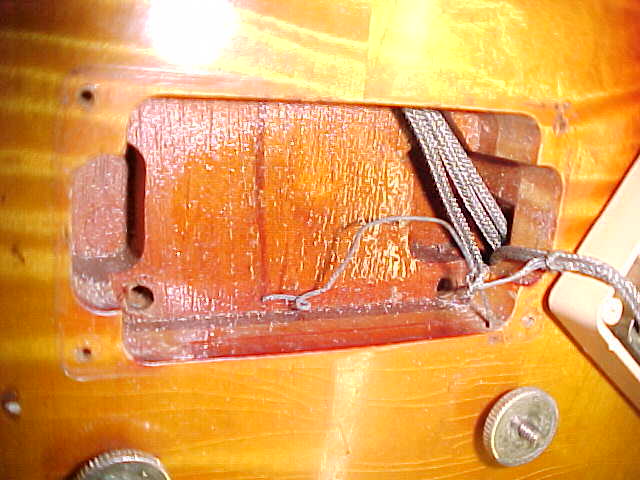 bridge%20pup%20cavity%20.jpg
