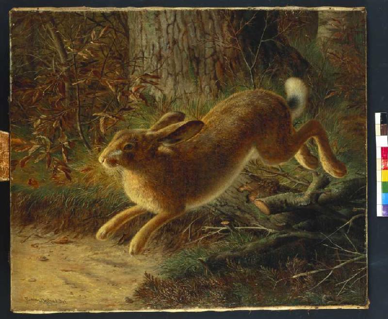 fliehender_hase_hi.jpg