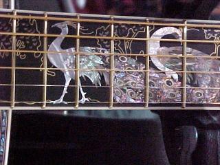 peacock_fingerboard_sm.jpg