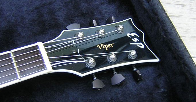 viper-head.jpg