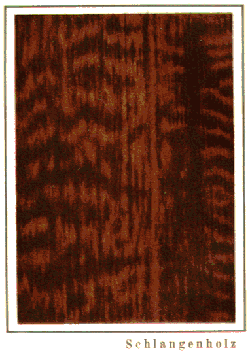 bild022.gif