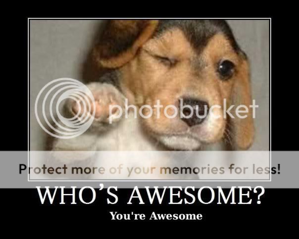 Awesomepuppy.jpg