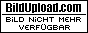 f0481bacd3fa4716f33c740895f9c8d0.jpg