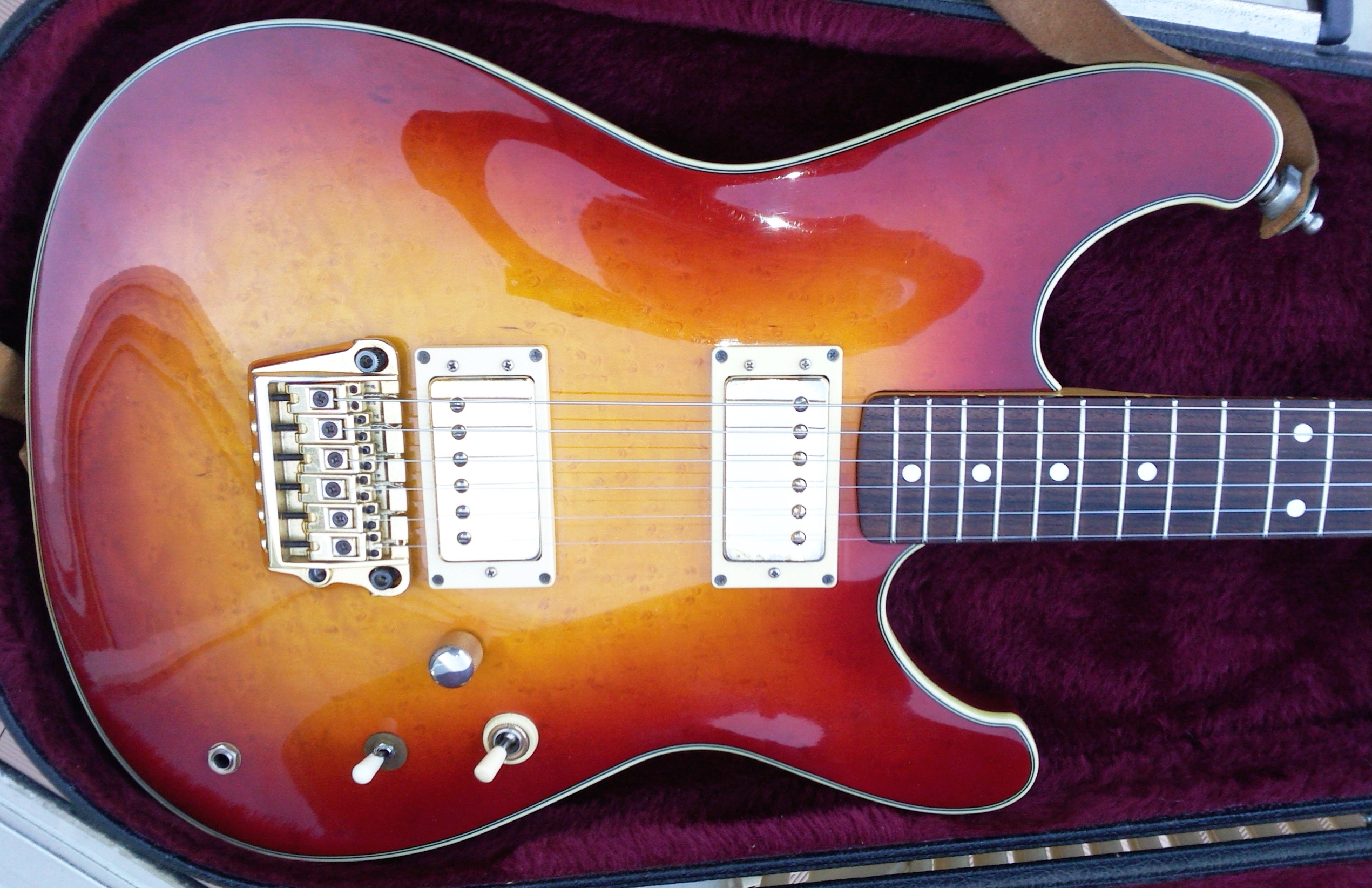 ibanez-rs1000-491812.jpg