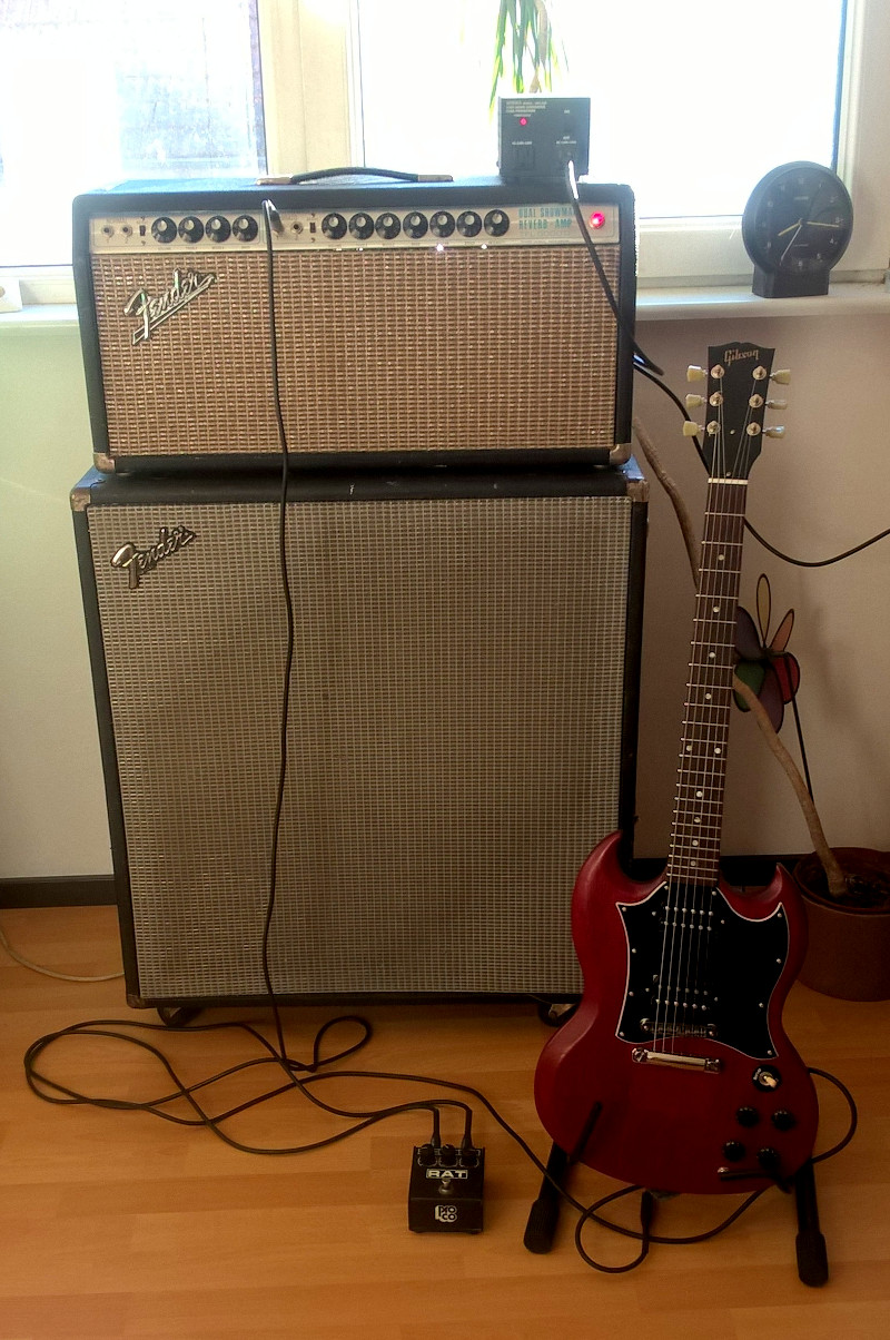fenderds.jpg