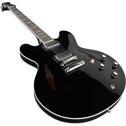 Gibson_Inspired_By_Dave_Grohl_Dg_335_Electric_Guitar.jpg