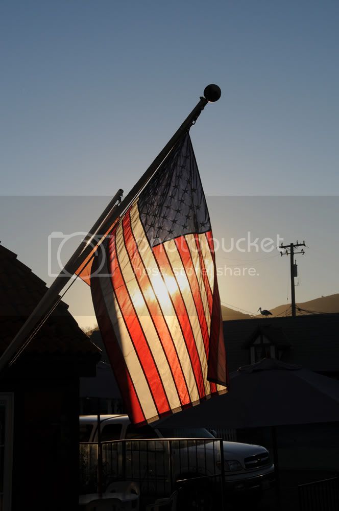 Flagge.jpg