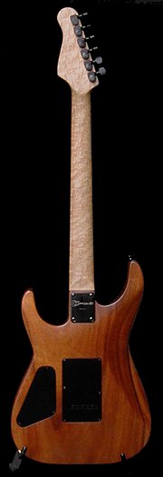 Charvel-back.jpg