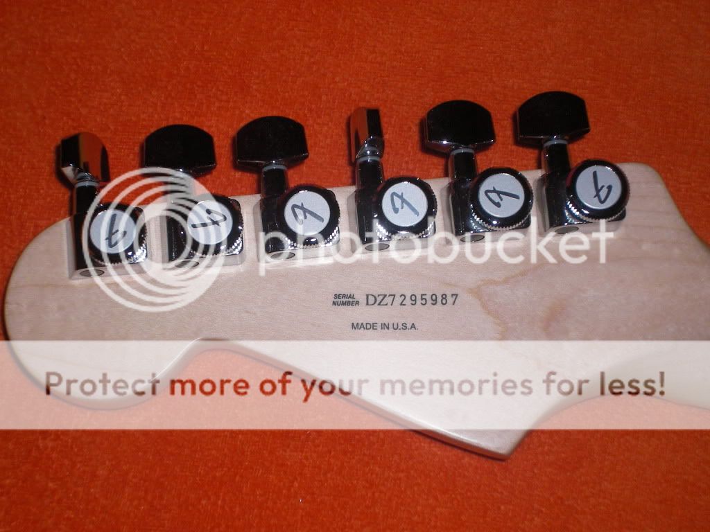 SANY0009.jpg