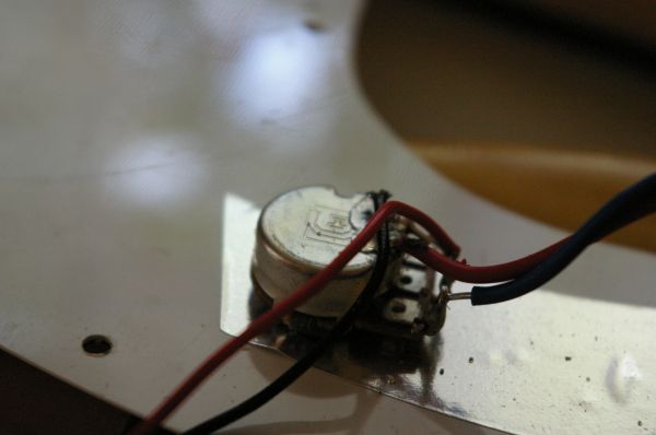 f8t64p368n4.jpg