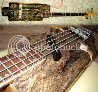 log.jpg