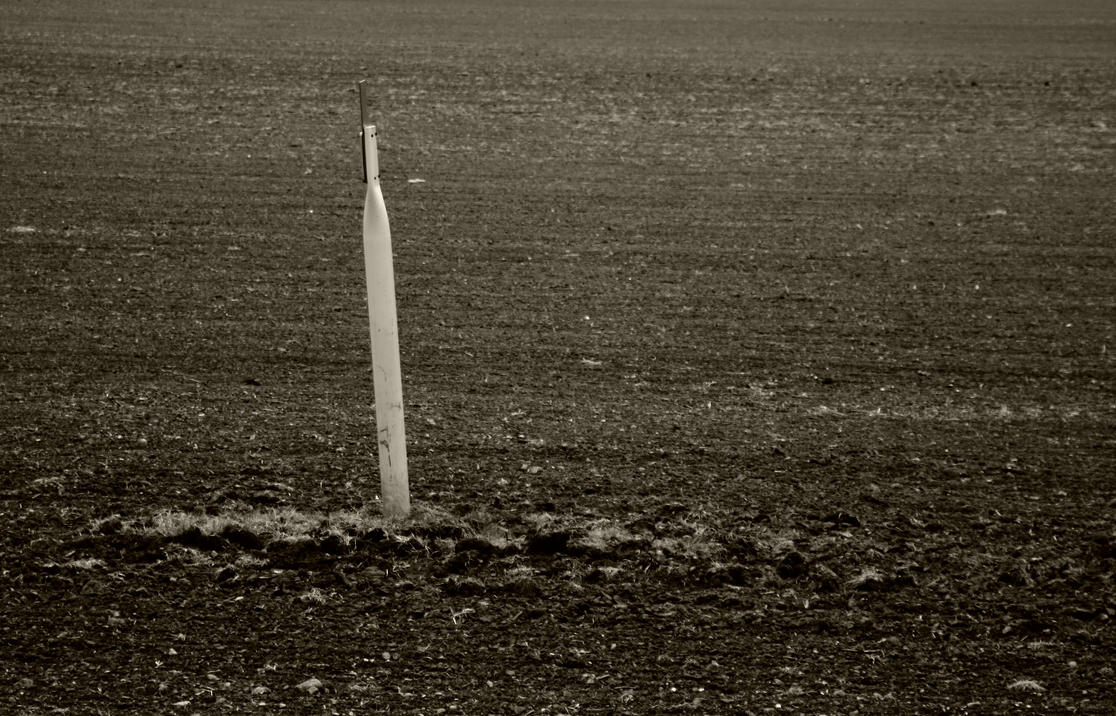field_studies_by_roswell1947-d3f87m5.jpg