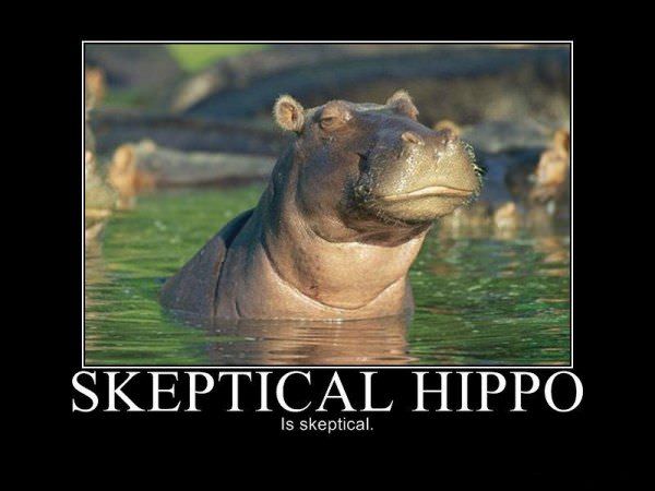 Demotivational-pictures-skeptical_Hippo.jpg