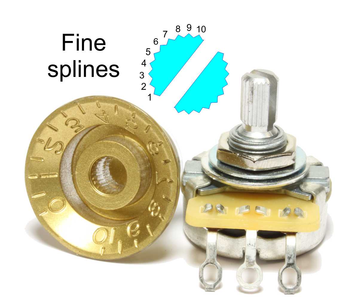 Fine-spline.jpg