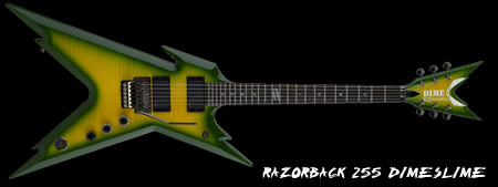 r255ds.jpg