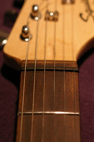 tusq1.jpg