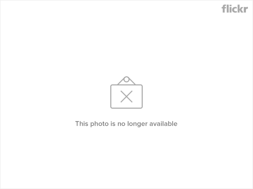 40151641015_c10e9f3537_z.jpg