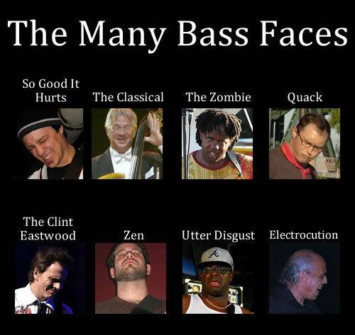 bass-meme-11.jpg