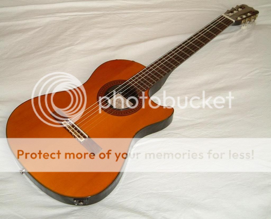 VesterElectroAcousticSAC283.jpg